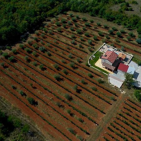 Relax House Surrounded By Olives And Vineyard Villa Stifanici Bagian luar foto