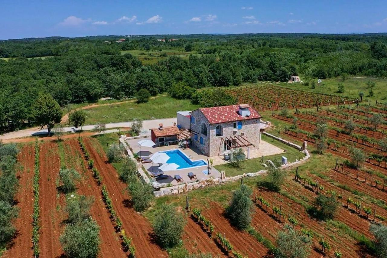 Relax House Surrounded By Olives And Vineyard Villa Stifanici Bagian luar foto