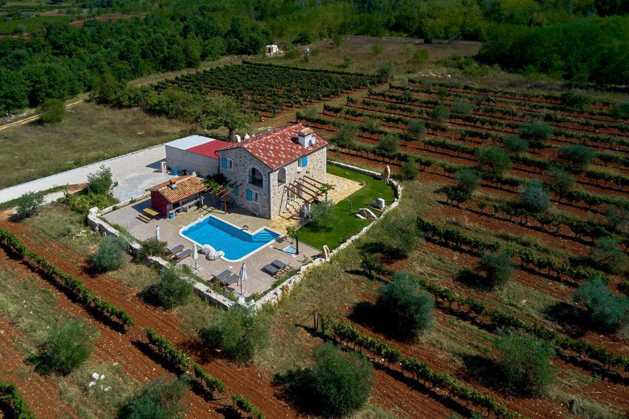 Relax House Surrounded By Olives And Vineyard Villa Stifanici Bagian luar foto