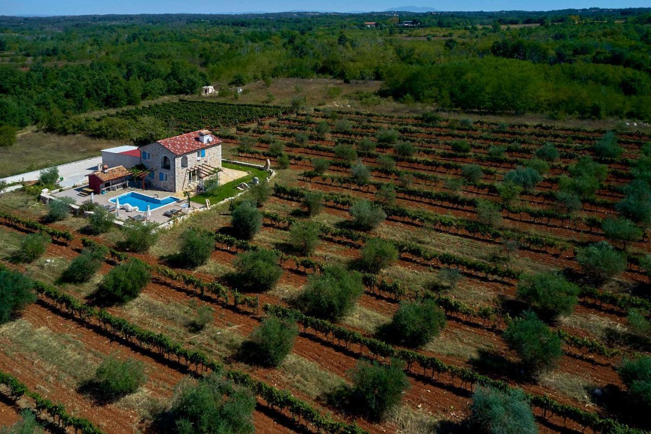 Relax House Surrounded By Olives And Vineyard Villa Stifanici Bagian luar foto