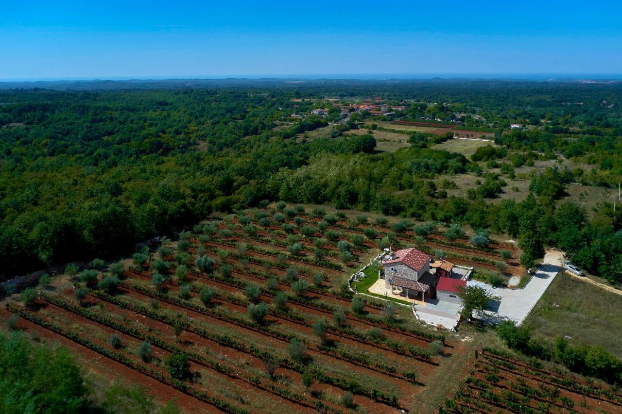 Relax House Surrounded By Olives And Vineyard Villa Stifanici Bagian luar foto