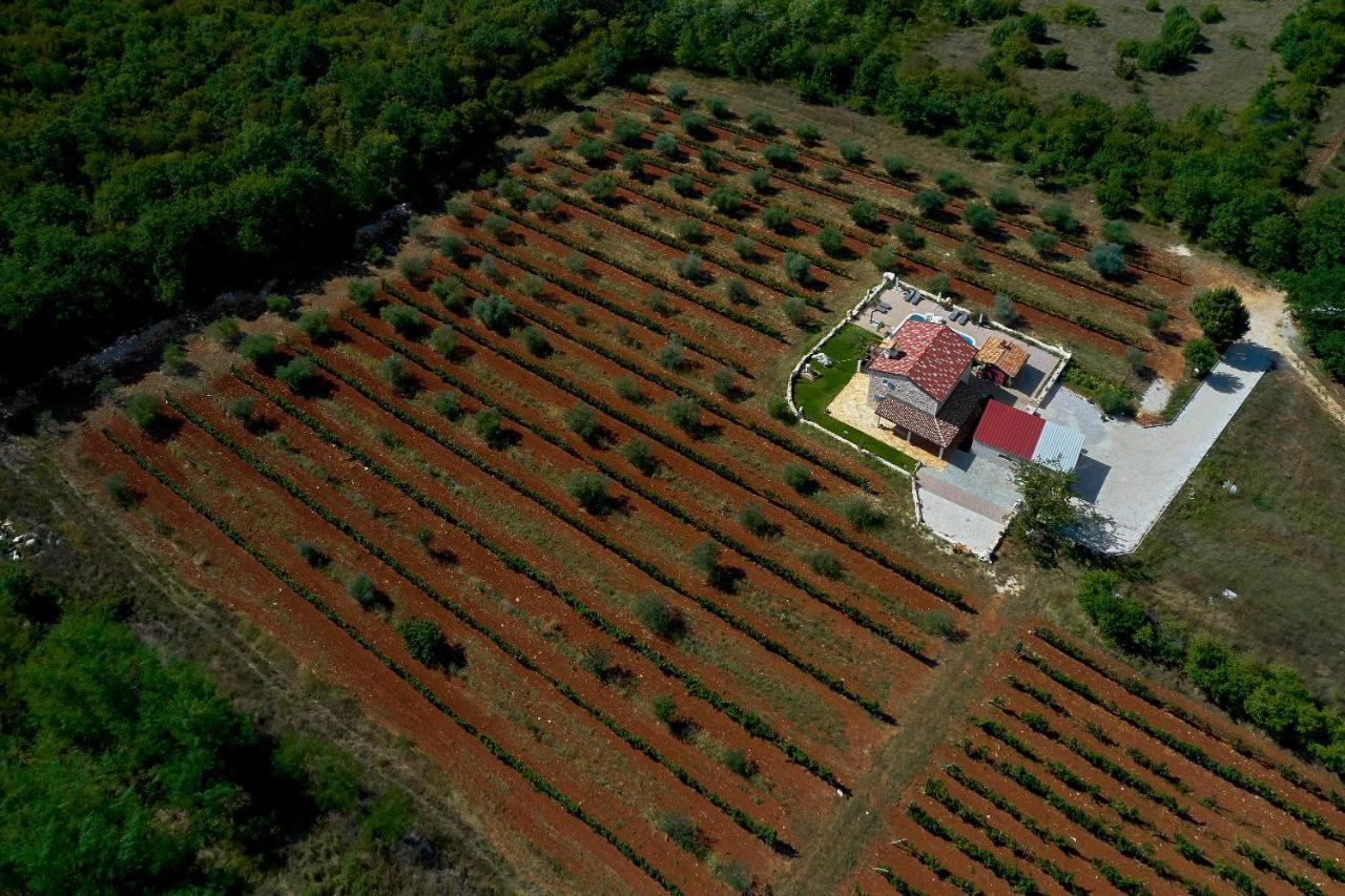 Relax House Surrounded By Olives And Vineyard Villa Stifanici Bagian luar foto