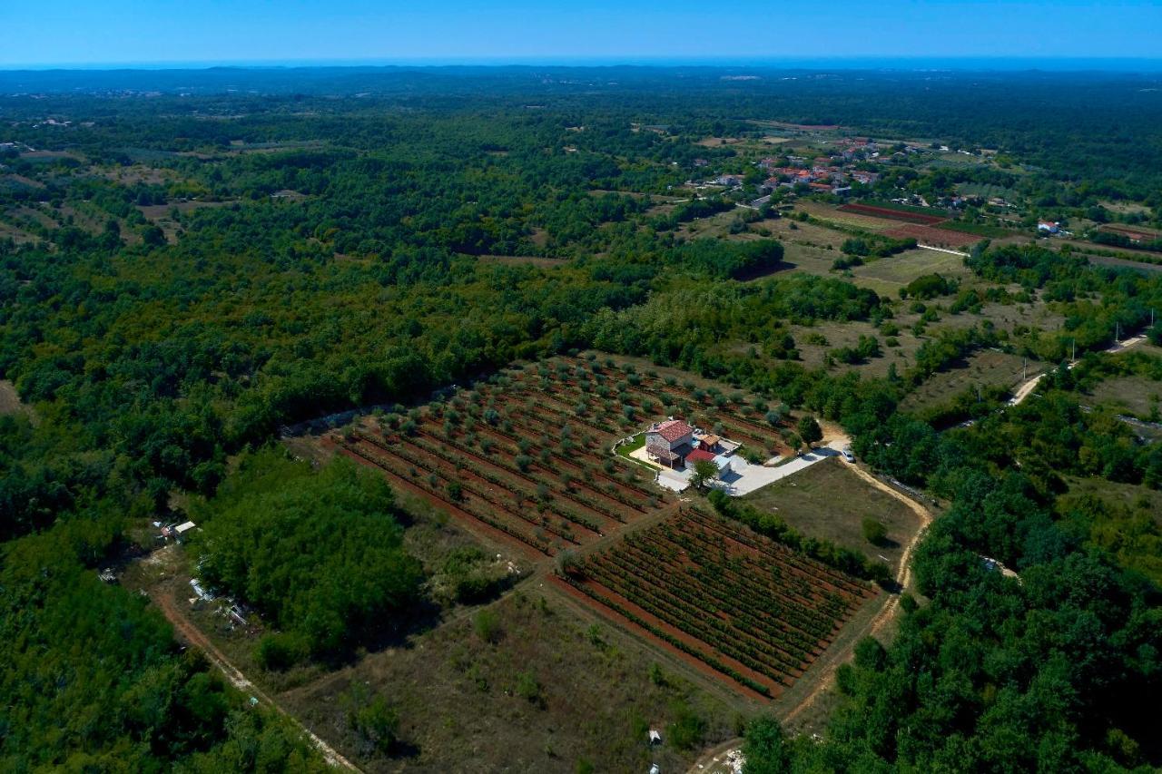 Relax House Surrounded By Olives And Vineyard Villa Stifanici Bagian luar foto